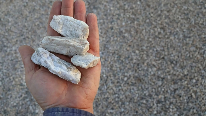 Close-up of a hand holding several white mineral rock samples against a coarse gravel surface outdoors